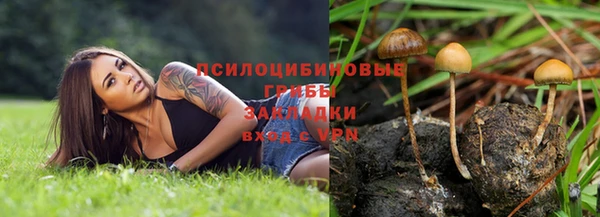 mdpv Дмитриев